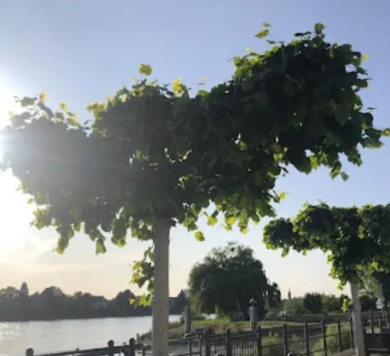 Apartamento Modernes In Rheinnaehe